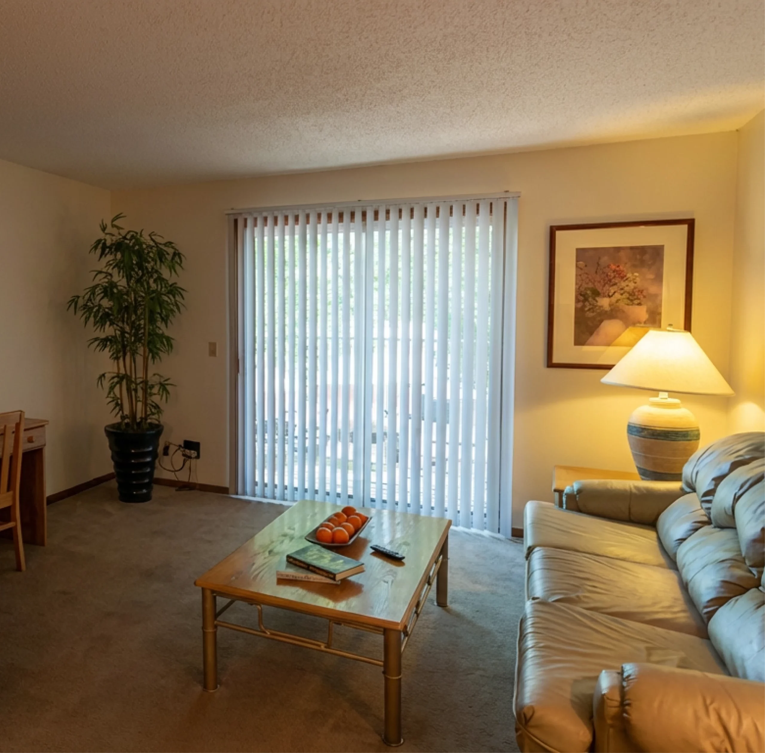 Furnished living room at Walnut Gardens Apartments with sliding glass doors and natural light